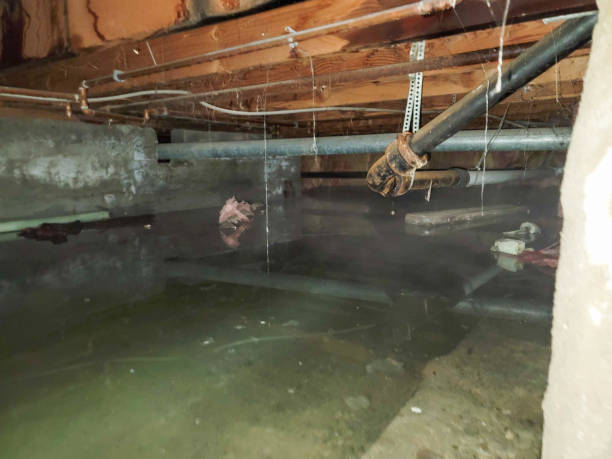 Best Flooded house restoration  in Jones Creek, TX