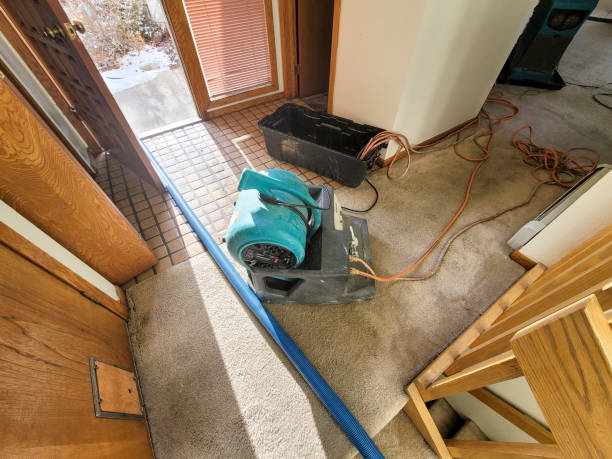 Best Flood damage cleanup  in Jones Creek, TX