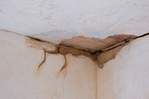 Best Water damage restoration company  in Jones Creek, TX
