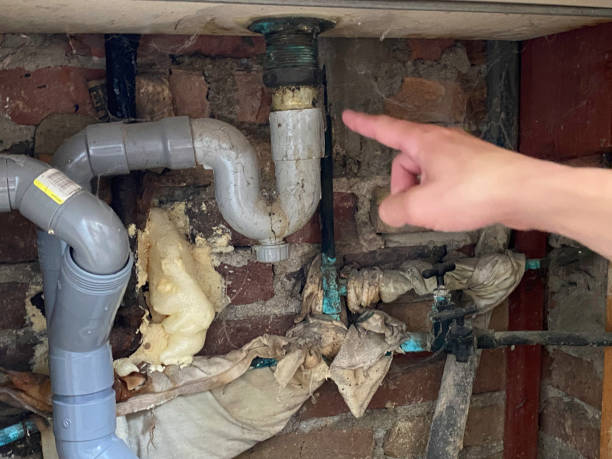 Best Local water damage restoration  in Jones Creek, TX